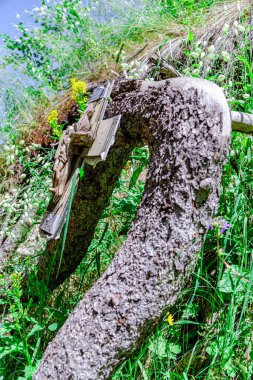 Almaty, Kazakistan 'daki yüksek dağ buz pateni pisti yakınlarında bir yeraltı kilisesi. Çimenlik ve yeşillik dolu bir Corug ağacının üzerindeki Hıristiyan haçını kapatın.