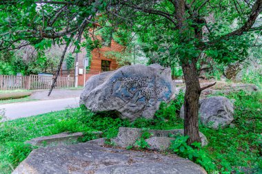 Almaty Ulusal Parkı. Büyük bir taşın üzerine kar leoparı çizmek. El yapımı. Ahşap bir evin arka planında bir ağacın altında