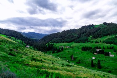 Yeşil çimenli güzel dağ manzarası ve büyük bulutlu ağaçlar. Nehrin kıyısındaki güzel bir dağ geçidinde Allah 'ın unuttuğu bir köy.