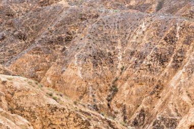 Ay Kanyonu Almatı, Kazakistan. Çatlak ve delikli sarı kil dokusu