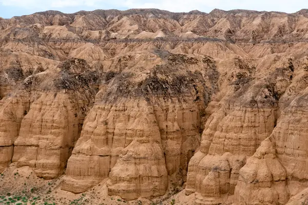 Ay Kanyonu Almatı, Kazakistan. Yeryüzünün jeolojik katmanlı sarı kil dokusu
