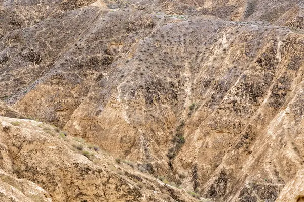 Ay Kanyonu Almatı, Kazakistan. Çatlak ve delikli sarı kil dokusu