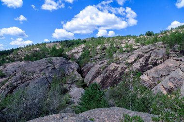 Karkaralinsk, Kazakistan. Kayaların üzerinde çam yetişiyor. Dağlardaki düz kayalar. Orman güneşli bir günde
