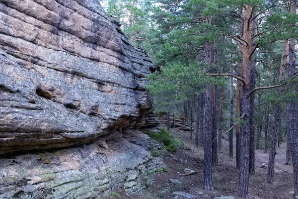 Karkaralinsk, Kazakistan. Çam ağacı katmanlı granit kaya. Dağlık bölgede güzel yeşil orman