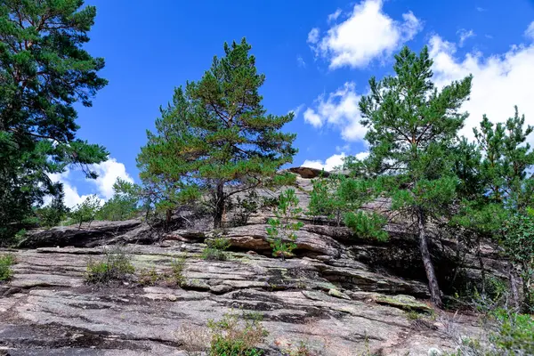 Karkaralinsk, Kazakistan. Çamlar kayalarda yetişir. Dağlardaki düz kayalar