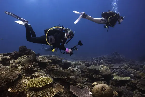 Two female scuba divers exploring the tropical coral reef, one holding an underwater camera setup