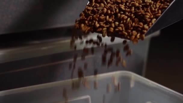 Importowane Ziarna Zielonej Kawy Brazylijskiej Zbliżenie Ścisłe Skupienie — Wideo stockowe