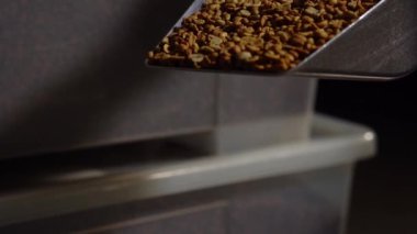 İthal Brezilya yeşil kahve çekirdekleri, yakın çekim, yakın odak