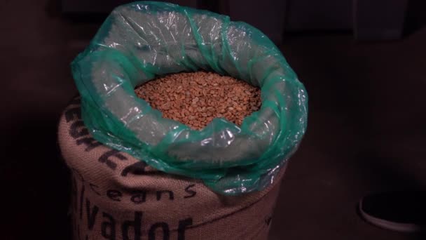 Adam Torbadan Kahve Çekirdeği Alıyor — Stok video
