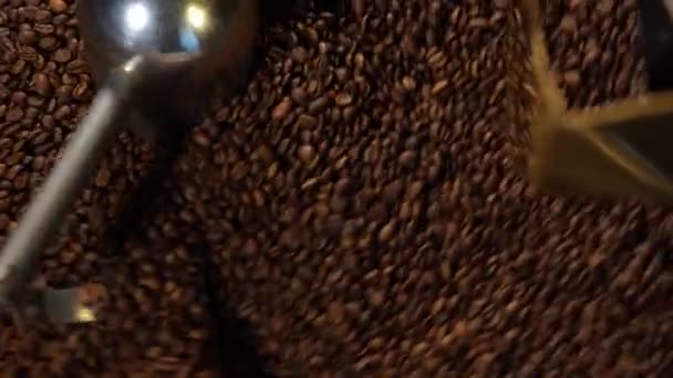 Technologia Pieczenia Ziaren Kawy Fabryce Proces Prażenia Ziarna Kawy Procesorze — Wideo stockowe