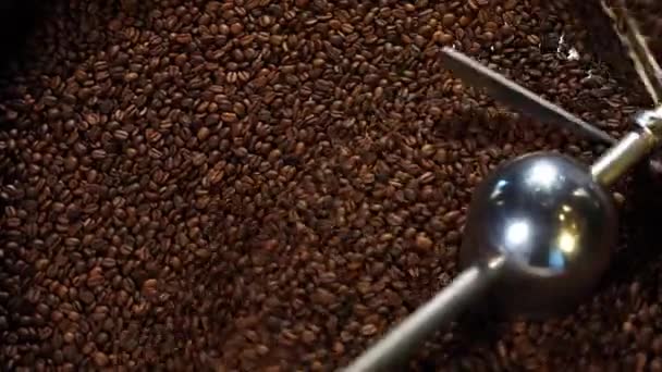Technológia Kávébabot Süt Gyárban Kávébab Pörkölése Élelmiszer Feldolgozóban Hűtésben Keverés — Stock videók