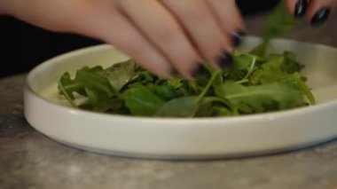 Taze roka yaprakları, üst manzara. Bir demet yeşil taze roka. Sağlıklı yaşam tarzı kavramı.