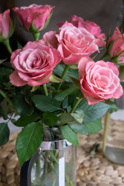 Beautiful pink pastel roses in spring as a gift for women's day in march