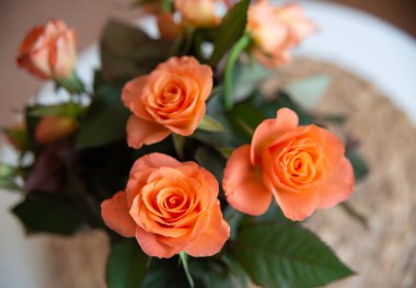 Bahar çiçekleri masadaki vazoda duruyor ve iç taraftaki pencere kenarı da Dünya Kadınlar Günü hediyesi.