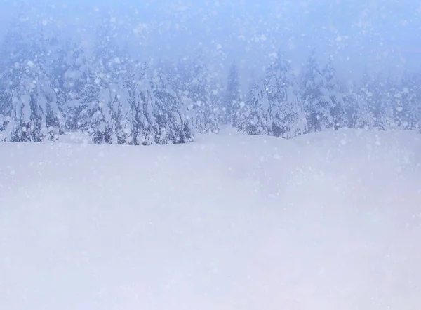 有降雪和白雪的森林的冬季背景 — 图库照片