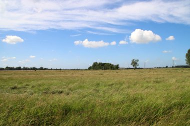 Meadows and roads in the Zuidplaspolder area where new village will be build in the Netherlands