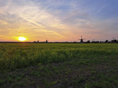 Sunset over the meadows of the Tweemanspolder in Zevenhuizen in the Netherlands