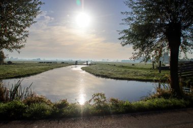 Fog over the fields of the 's-gravenweg in the Netherlands