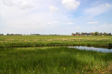 Hollanda 'nın Zuidplaspolder bölgesindeki Vijfde Tochtweg' de çayırlar ve sulama kanalları