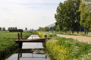 Hollanda 'nın Zuidplaspolder bölgesindeki Vijfde Tochtweg' de çayırlar ve sulama kanalları