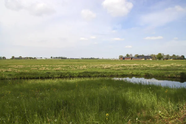 Луки Водяні Канали Вийфде Тохтвег Zuidplaspolder Нідерланди — стокове фото