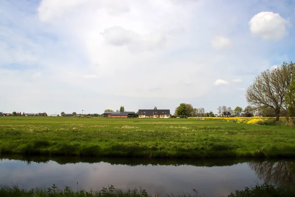 Prati Canali Irrigazione Presso Vijfde Tochtweg Nel Zuidplaspolder Nei Paesi — Foto Stock