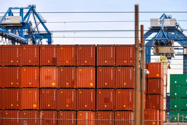 Freight Containers Rotterdam Waalhaven Harbor Netherlands — Stock Photo, Image