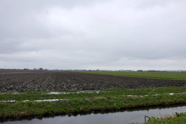 Hollanda 'nın Zevenhuizen kentindeki Knibbelweg Oost serasında ve endüstriyel bölgede Clay sahada.