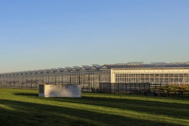 Hollanda 'nın Zevenhuizen kentindeki Zuidplaspolder' daki seralar