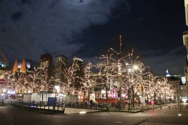 Den Haag 'daki Het Plein Hollanda' da verlichte bomen voor de feestdagen ile buluştu.