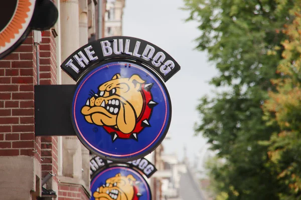 Hollanda Nın Merkezinde Turistler Tarafından Bilinen Sevilen Bulldog Kahve Dükkanının — Stok fotoğraf