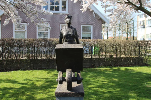 Bloesem Bomen Met Standbeeld Van Stenenkruister Voor Dorpshuis Batavier Nieuwerkerk — Stockfoto