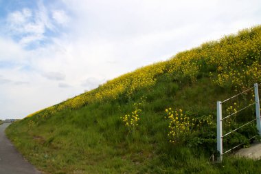 Meadows and roads in the Zuidplaspolder area where new village will be build in the Netherlands