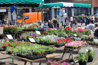 Hollanda, Mayıs 2023: Hollanda 'da Nieuwerkerk aan den IJssel' de Ascension Day 'de sandık satış ve bitki pazarı
