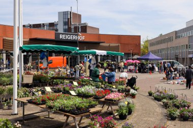 Hollanda, Mayıs 2023: Hollanda 'da Nieuwerkerk aan den IJssel' de Ascension Day 'de sandık satış ve bitki pazarı