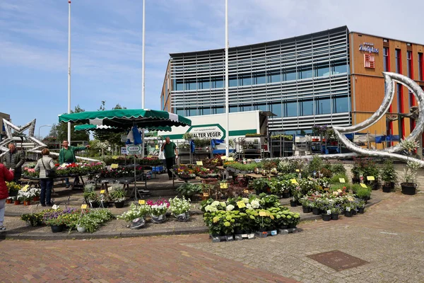 Niederlande Mai 2023 Stammverkauf Und Pflanzenmarkt Christi Himmelfahrt Nieuwerkerk Aan — Stockfoto