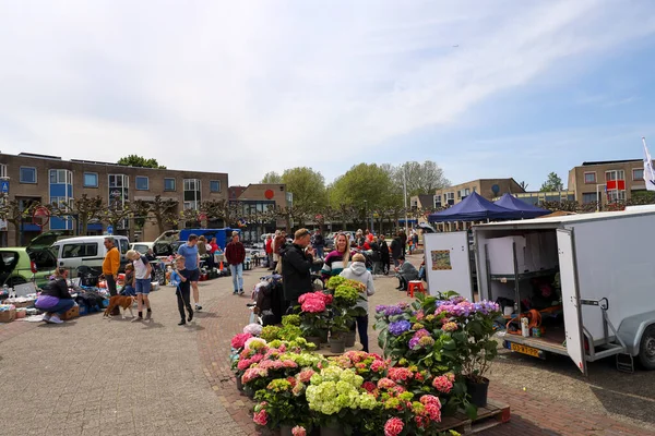 Holandia Maj 2023 Sprzedaż Trunkowa Rynek Roślin Dniu Wniebowstąpienia Nieuwerkerk — Zdjęcie stockowe