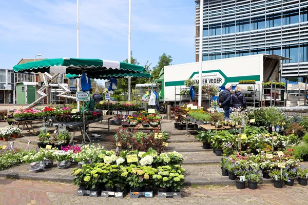 stock image Netherlands, May 2023, :Trunk sale and plant market on Ascension Day in Nieuwerkerk aan den IJssel in the Netherlands