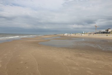 Hollanda 'daki Kuzey Denizi kıyısı boyunca kum tepeleri, deniz kabukları ve plajlar