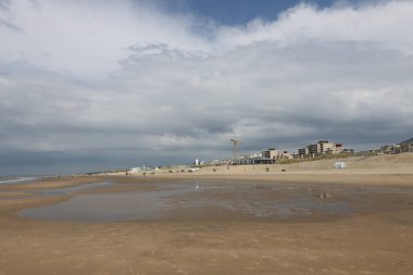 Hollanda 'daki Kuzey Denizi kıyısı boyunca kum tepeleri, deniz kabukları ve plajlar