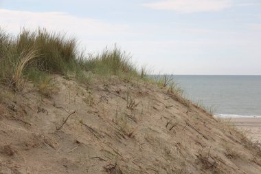 Hollanda 'daki Kuzey Denizi kıyısı boyunca kum tepeleri, deniz kabukları ve plajlar