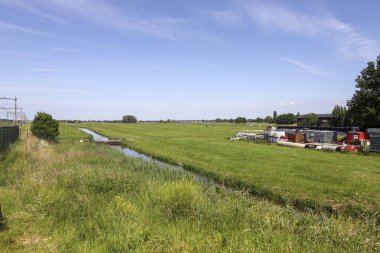 Hollanda 'daki Zuidplaspolder' ın güney kesimindeki çayırlar.