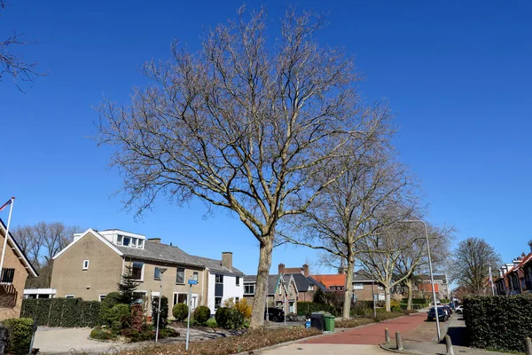 Gatan Dorrestein Distriktet Nieuwerkerk Aan Den Ijssel Nederländerna — Stockfoto
