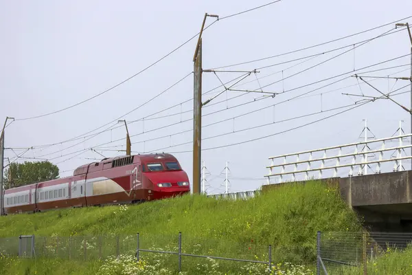 Amsterdam ile Paris arasındaki Thalys treni Bleiswijk 'te yüksek hızda ilerliyor.