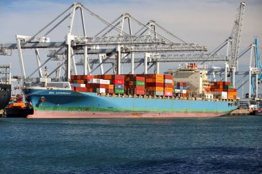 Hollanda 'nın Rotterdam Limanı' ndaki Maasvlakte limanında kargo kontanatörlü turnalar.