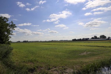 İleride Hollanda 'nın Zuidplaspold belediyesinin Beşinci Köyü' nün tarım ve yollarıyla otlaklar