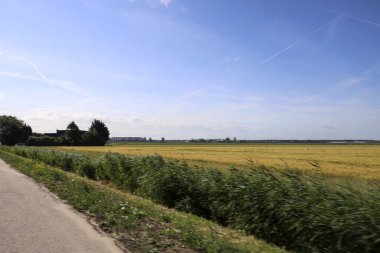 İleride Hollanda 'nın Zuidplaspold belediyesinin Beşinci Köyü' nün tarım ve yollarıyla otlaklar