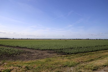 İleride Hollanda 'nın Zuidplaspold belediyesinin Beşinci Köyü' nün tarım ve yollarıyla otlaklar
