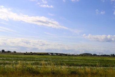 İleride Hollanda 'nın Zuidplaspold belediyesinin Beşinci Köyü' nün tarım ve yollarıyla otlaklar