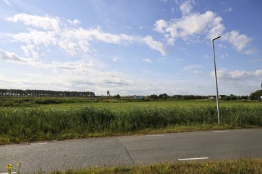 İleride Hollanda 'nın Zuidplaspold belediyesinin Beşinci Köyü' nün tarım ve yollarıyla otlaklar
